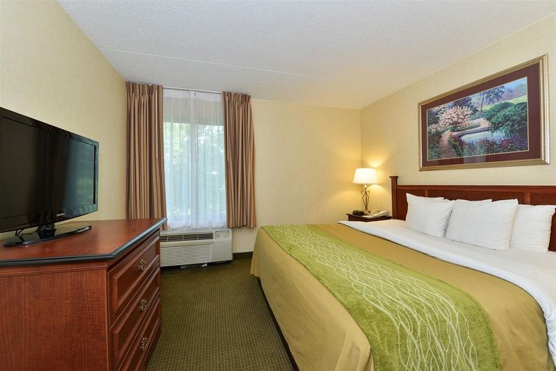 Hotel Express & - Area By Ihg